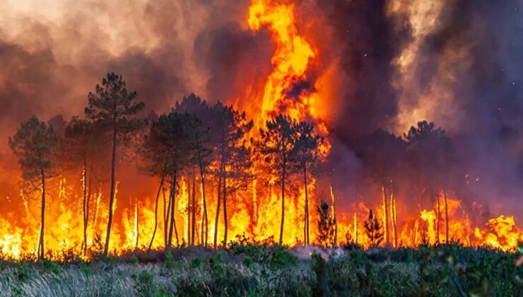 Son iki günde 150 yangın çıktı! Türkiye’nin ciğerleri yanıyor: İşte aktif yangınlarda son durum…