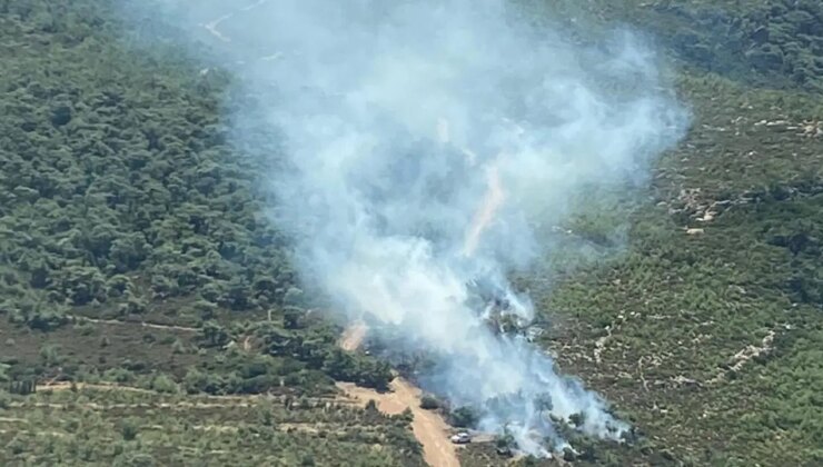 Tarım Bakanı İbrahim Yumaklı, İzmir’deki yangına müdahale anlarını paylaştı