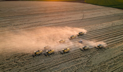 Tarım ÜFE mayısta aylık ve yıllık arttı