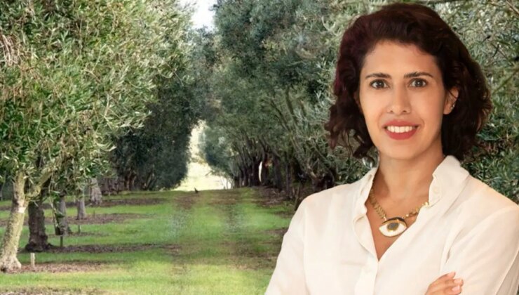 Tartışmalar sürerken… Elektrik üreticilerinden açıklama