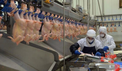 Tavuk eti üretimi aylık yüzde 2,6 arttı