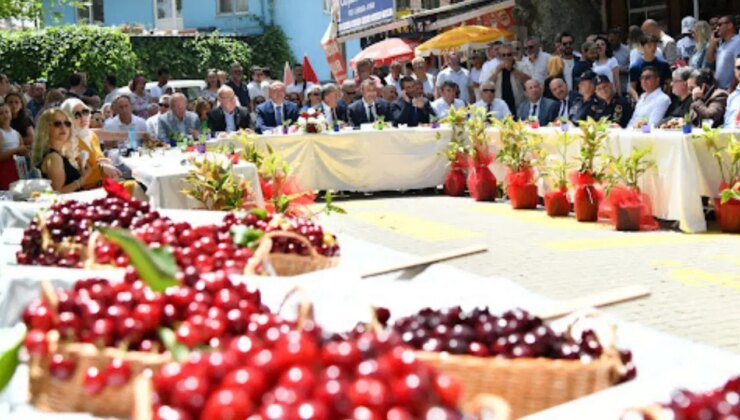 Tekirdağ Kiraz Festivali ne zaman? Tekirdağ Kiraz Festivali nerede?