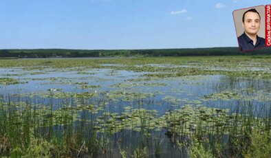 Terkos Gölü’ne ‘ticari’ izne bir tepki de Ziraat Mühendisleri Odası’ndan geldi: ‘Amaç rant yaratmak’