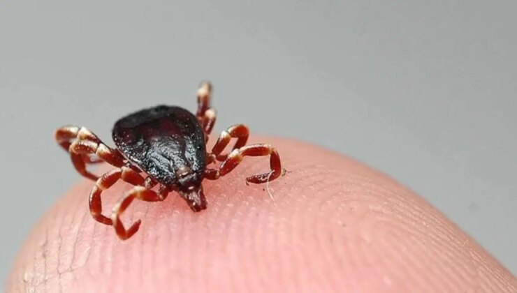 Tokat’ta KKKA hastalığı nedeniyle bir kişi öldü!