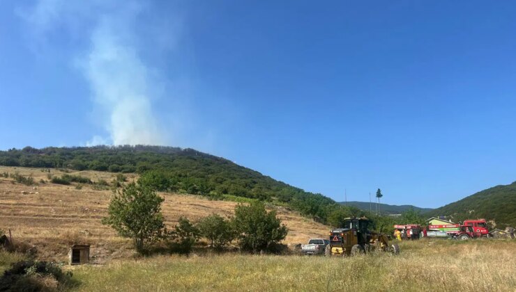 Tokat’ta ormanlık alanda yangın!