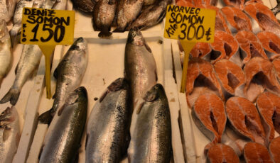 Trabzon’da somon ve alabalık bolluğu