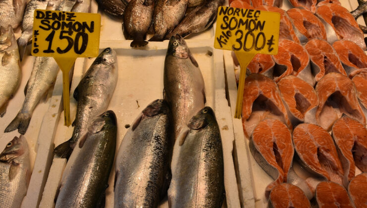 Trabzon’da somon ve alabalık bolluğu