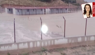 Tüm uyarılara karşın dere yatağına yapılan barınak sular altında kaldı, hayvanlar telef oldu: Faturası köylüye çıktı