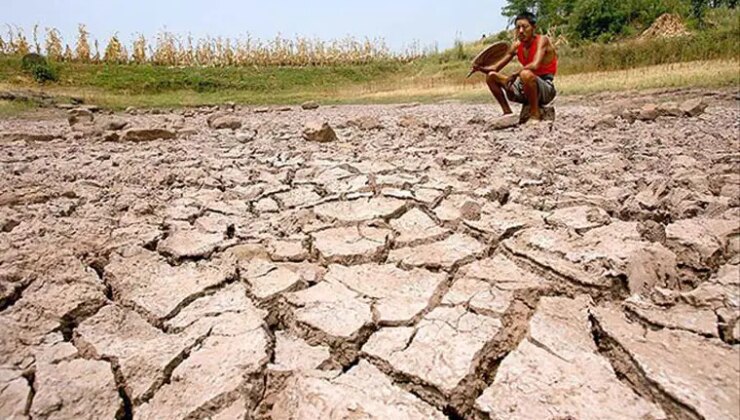 TZOB Genel Başkanı Bayraktar kuraklıktan zarar gören çiftçiler için destek istedi