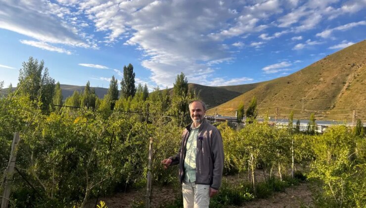 Üniversitede tarafından ekildi, bölgeye uyum sağladı: Hasadı başladı!