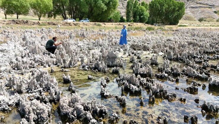 Van Gölü’nde tedirgin eden görüntü: Boyları bir metreyi aştı!