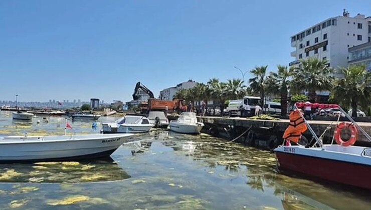 Yanlış temizlik Karadeniz’i kirletiyor