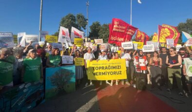 Yaşam savunucuları Kadıköy’den ses yükseltti: ‘İktidar doğaya savaş ilan etmiştir’