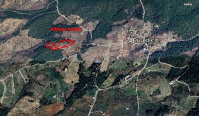 Yer: İzmir… Zeytinlik alanda yapılmak istenen ‘hazine avına’ bakanlık engeli