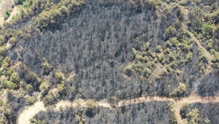 Yürek yakan manzaralar: Bilecik’te yanan alanlar havadan görüntülendi