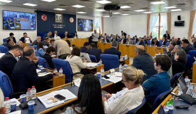 Zeytinlikleri madencilik faaliyetine açacak teklif komisyonda… İkizköylü Necla Işık, iktidara seslendi: ‘Biz ölüyoruz, kanser hastası oluyoruz!’