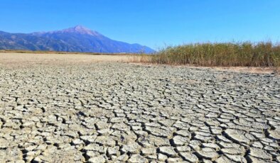 314 kuş türüne ev sahipliği yapıyordu… Milleyha Kuş Cenneti kurudu!