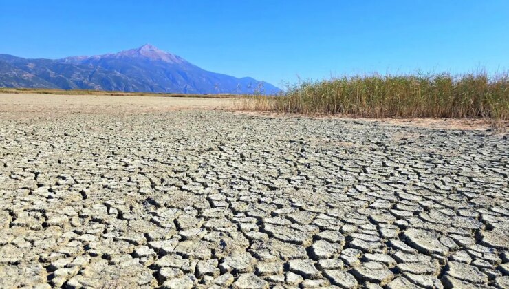 314 kuş türüne ev sahipliği yapıyordu… Milleyha Kuş Cenneti kurudu!