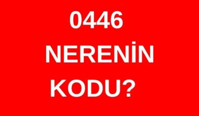 446 hangi şehrin alan kodu? 0446 nerenin telefon kodu?