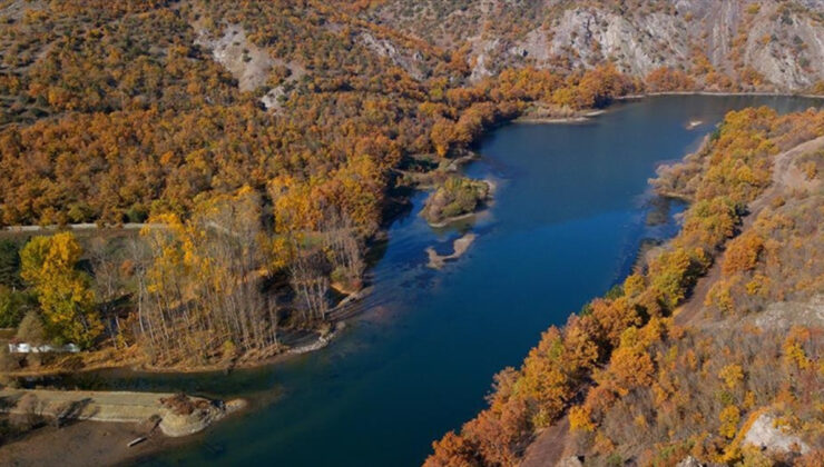 65 yaş üzeri kadınlara jest: O hizmet artık bedava