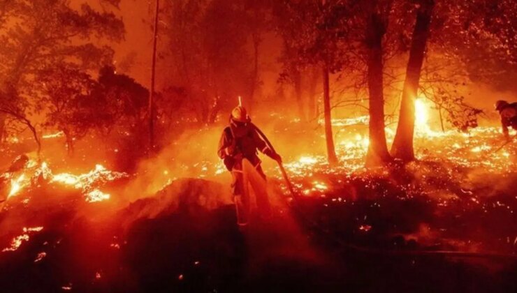 Adana’daki orman yangınları: 3 kişi tutuklandı