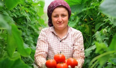 Adının hakkını veren mahalle: Her mevsim üretim var! Türkiye’nin 20 iline gönderiliyor…