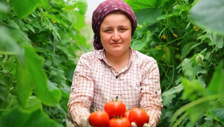 Adının hakkını veren mahalle: Her mevsim üretim var! Türkiye’nin 20 iline gönderiliyor…