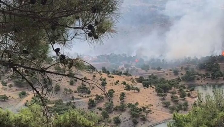 Adıyaman’da orman yangını: Müdahale sürüyor!