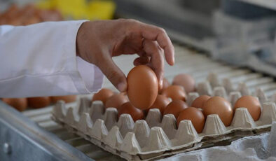 Afyon ve Kayseri’de yumurta fiyatlarına zam