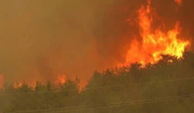 Afyonkarahisar, Karabük, İzmir… Türkiye alev alev yanıyor!