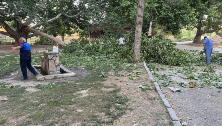 Ağacın kırılan dalı, piknik yapanların üzerine düştü: 11 yaralı