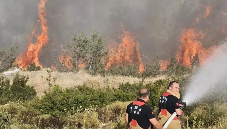 Akhisar yangını 3. gününde… Bölge halkının geçim kaynağı zeytinlikler alevlere teslim oldu: ‘2 bin ağaç kaybım var’