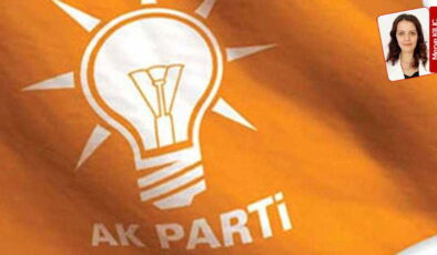 AKP’de İmralı rahatsızlığı: ‘Seçmene anlatamayız’ çekincesi