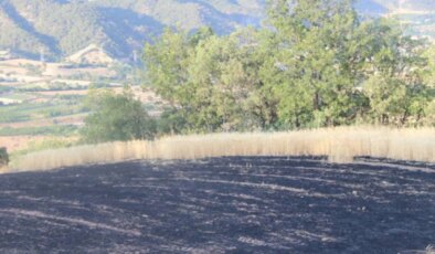 Amasya’da 10 dekar ormanlık alan ve 15 dekar tarım arazisi yandı