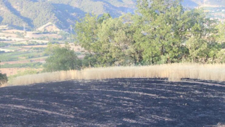 Amasya’da 10 dekar ormanlık alan ve 15 dekar tarım arazisi yandı