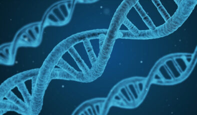 Anne ve Babadan Geçen Genler: Hangi Genetik Özellikler Kimden Alınır