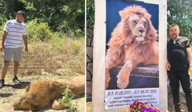 Antalya’da katledilmişti: Zeus’un öldürülmesine ilişkin suç duyurusu