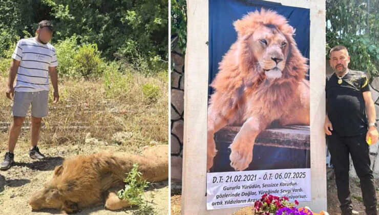 Antalya’da katledilmişti: Zeus’un öldürülmesine ilişkin suç duyurusu