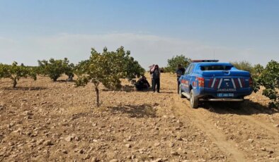 Antep fıstığı hasadı yaparken fenalaşan işçi hayatını kaybetti
