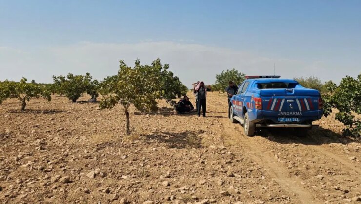 Antep fıstığı hasadı yaparken fenalaşan işçi hayatını kaybetti