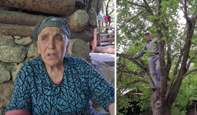 Artvin’de gençler işsizlik nedeniyle köylerini terk ediyor… Köylüler isyanda: ‘Gelseler ne yapacaklar? Ne geçim var ne barınma imkânı…’