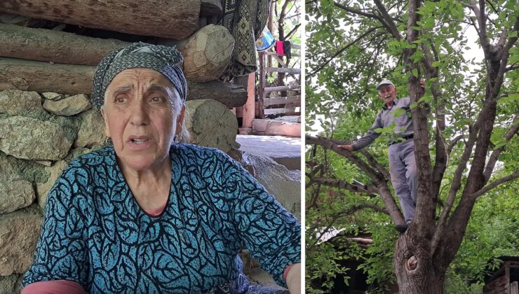 Artvin’de gençler işsizlik nedeniyle köylerini terk ediyor… Köylüler isyanda: ‘Gelseler ne yapacaklar? Ne geçim var ne barınma imkânı…’