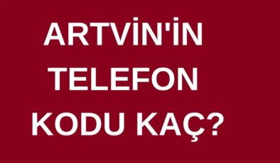 Artvin’in telefon kodu kaç? Artvin’in alan kodu kaç?