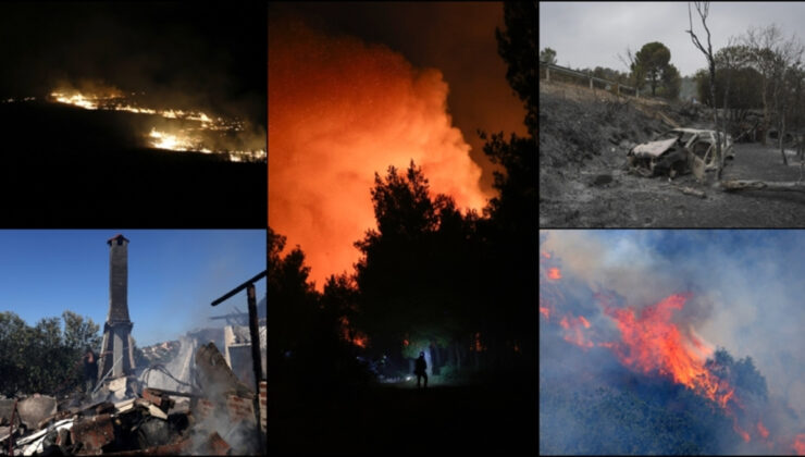 Avrupa kavruluyor: 11 ülkede yüzlerce orman yangını çıktı