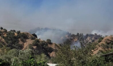 Aydın’da yangın ormana sıçradı! Validen açıklama