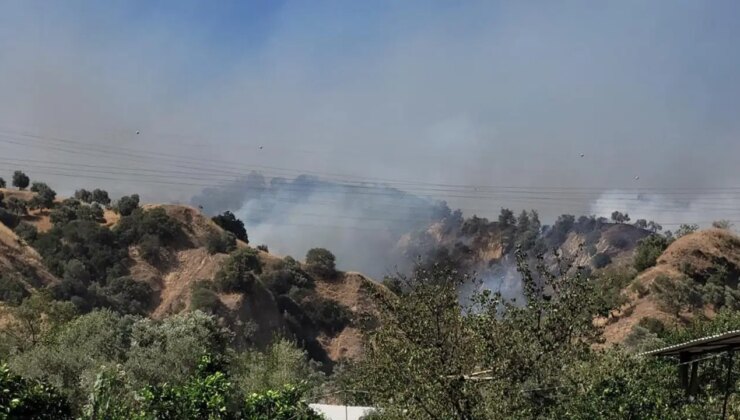Aydın’da yangın ormana sıçradı! Validen açıklama