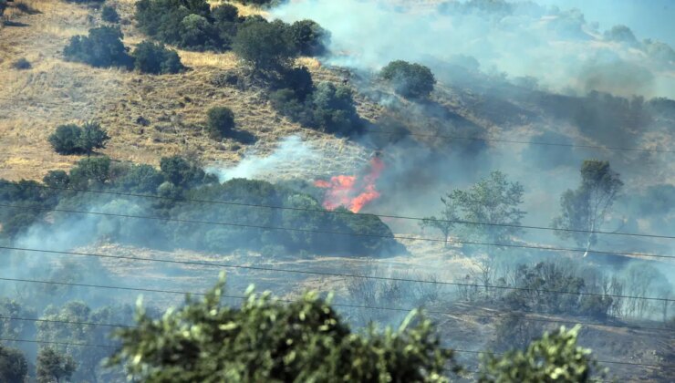 Aydın’daki yangına ilişkin yeni gelişme: Baba ve oğlu gözaltına alındı