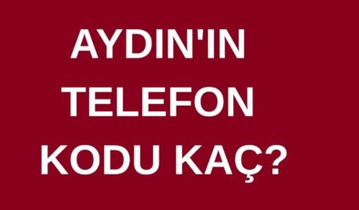 Aydın’ın telefon kodu kaç? Aydın’ın alan kodu kaç?