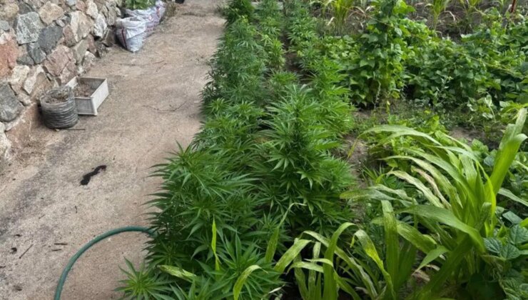 Aynı aileden 3 kişi ‘uyuşturucudan’ gözaltına alındı