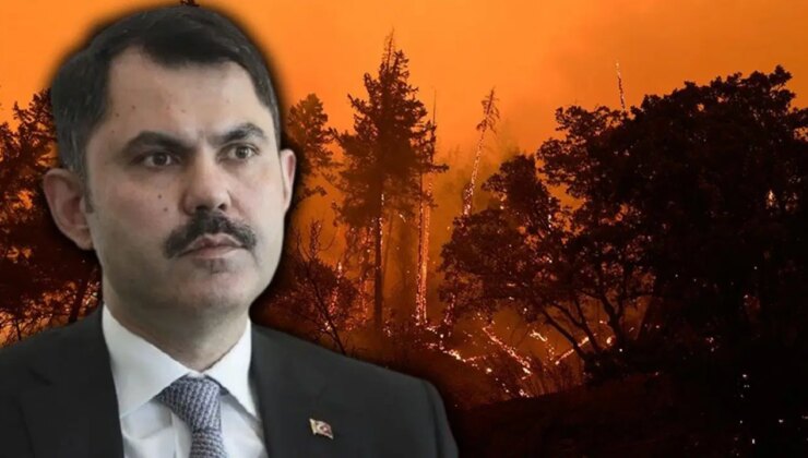 Bakan Kurum açıkladı: 4 ilde yangınlarda acı tablo